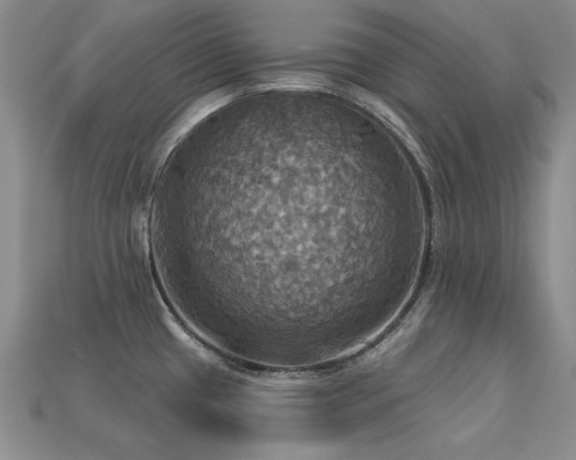 X0000113231433200909101202