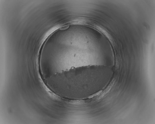 X0000113231434200909101202