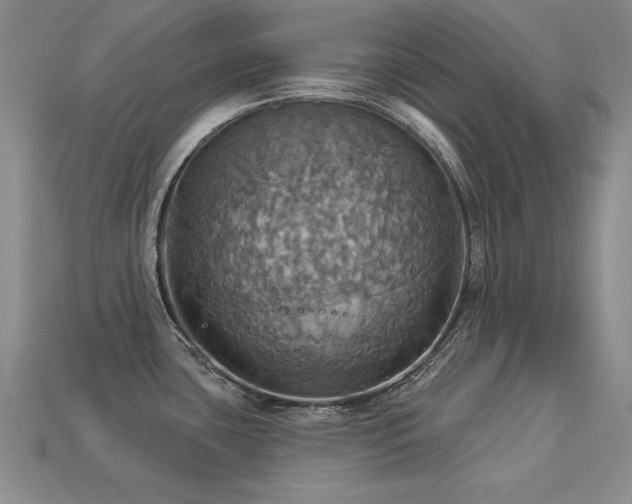 X0000113231435200909101202