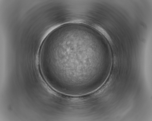 X0000113231436200909101202