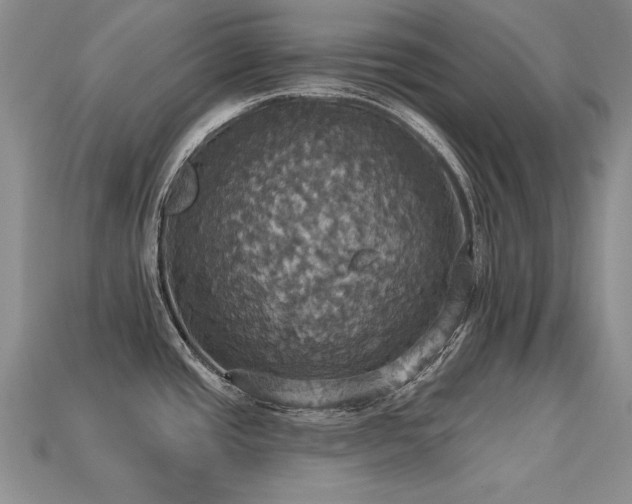 X0000113231437200909101202