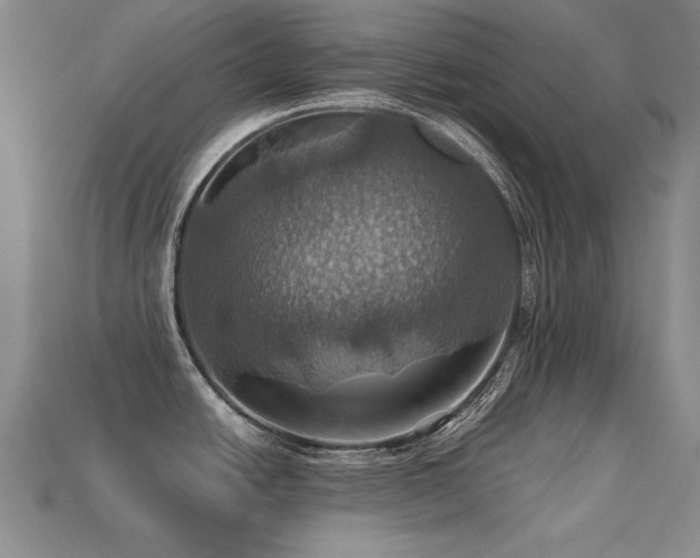 X0000113231438200909101202