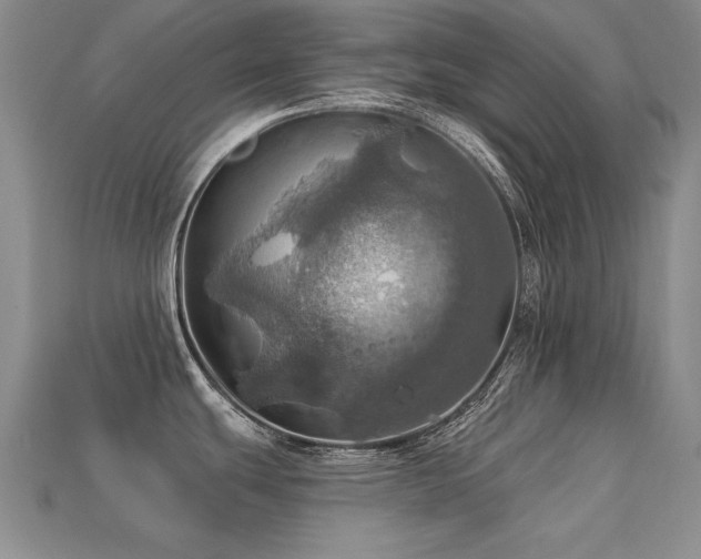 X0000113231439200909101202