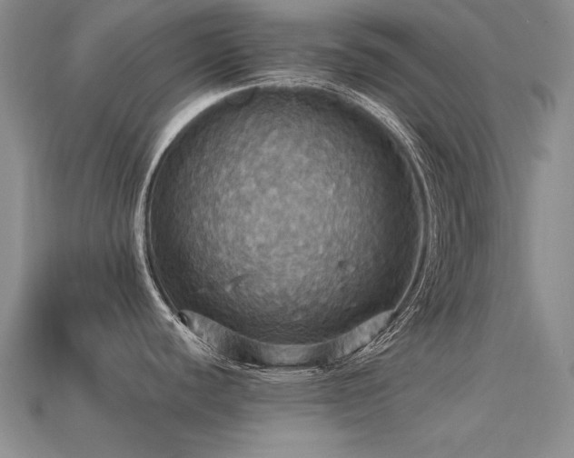 X0000113231440200909101202