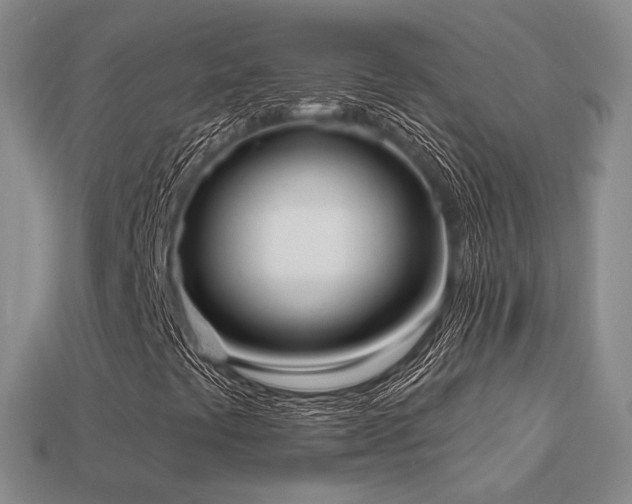 X0000113231441200909101201