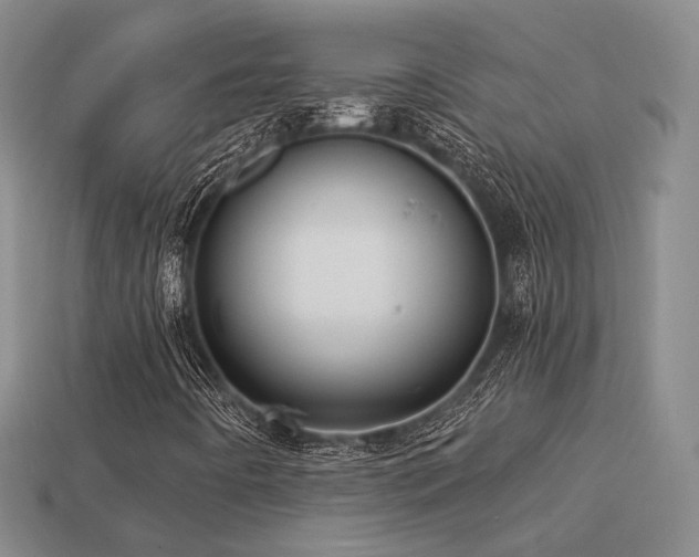 X0000113231442200909101201
