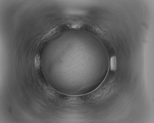 X0000113231443200909101201