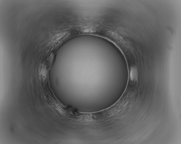 X0000113231444200909101201