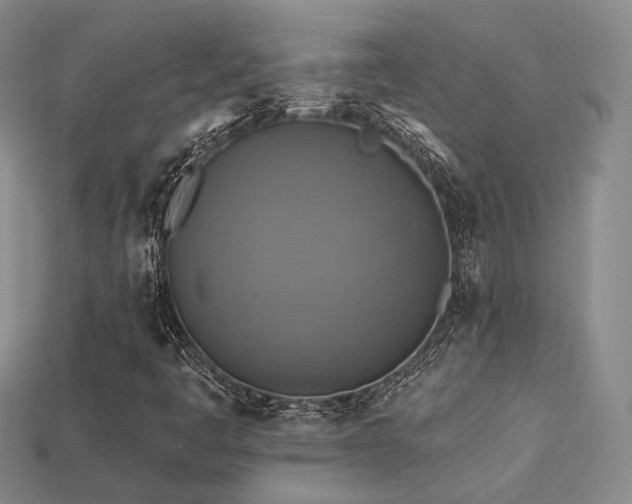 X0000113231445200909101201