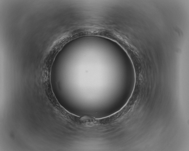 X0000113231447200909101201