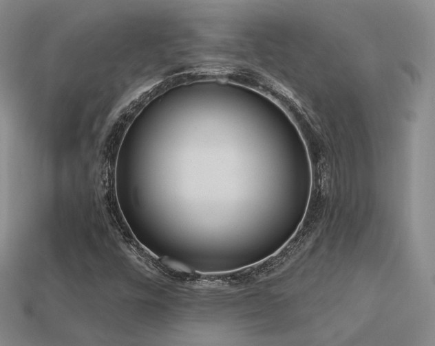 X0000113231448200909101201