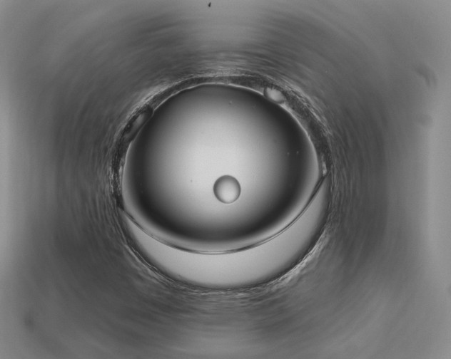 X0000113231449200909101201