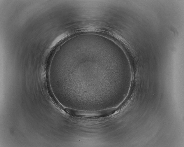 X0000113231450200909101201