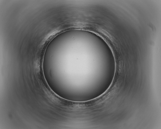X0000113231451200909101201