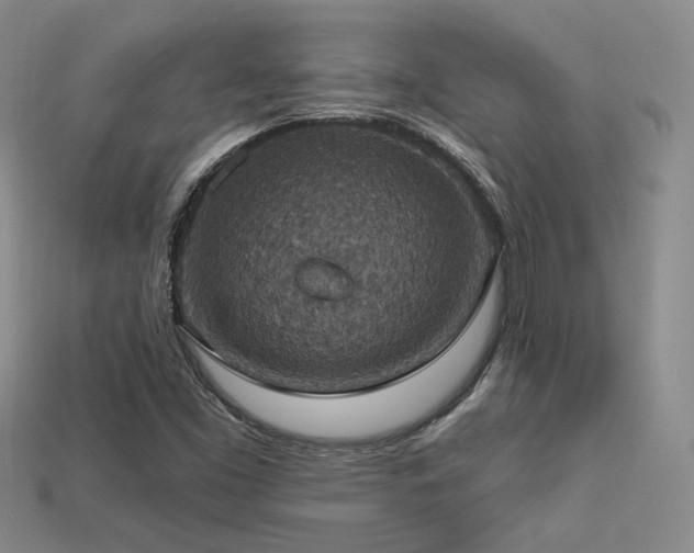 X0000113231453200909101201