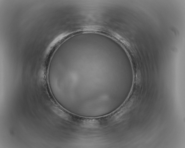 X0000113231454200909101201