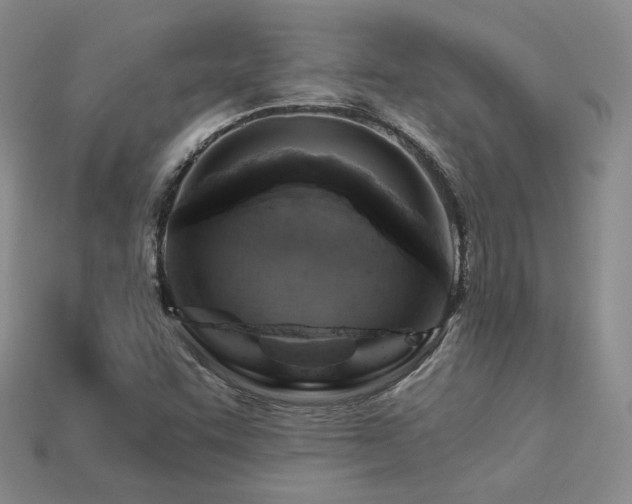 X0000113231455200909101201