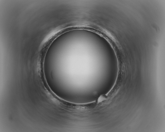 X0000113231456200909101201