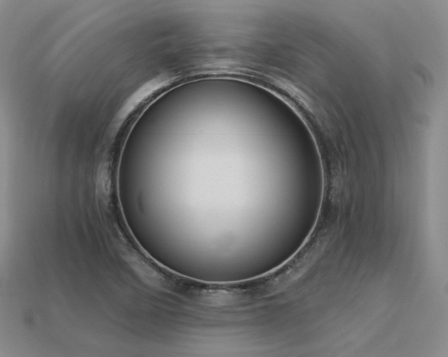 X0000113231458200909101201