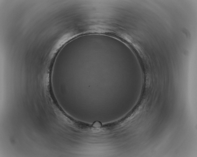 X0000113231459200909101201