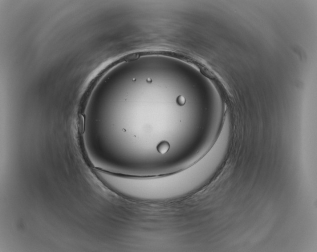X0000113231460200909101201