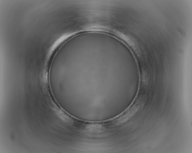 X0000113231462200909101201