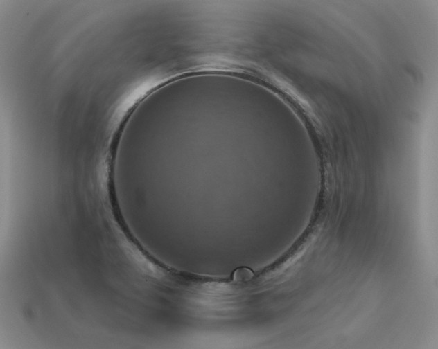 X0000113231463200909101201