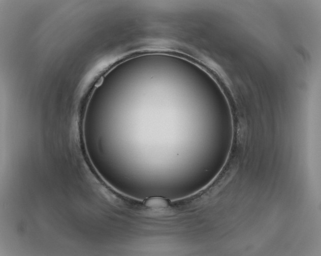 X0000113231464200909101201