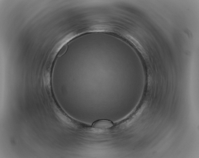 X0000113231465200909101201