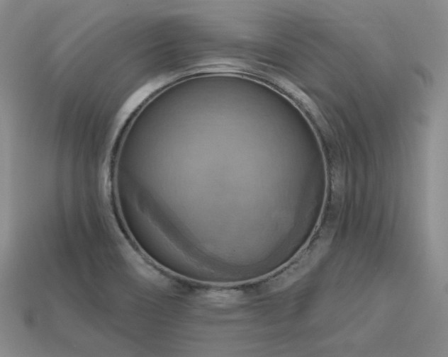 X0000113231466200909101201