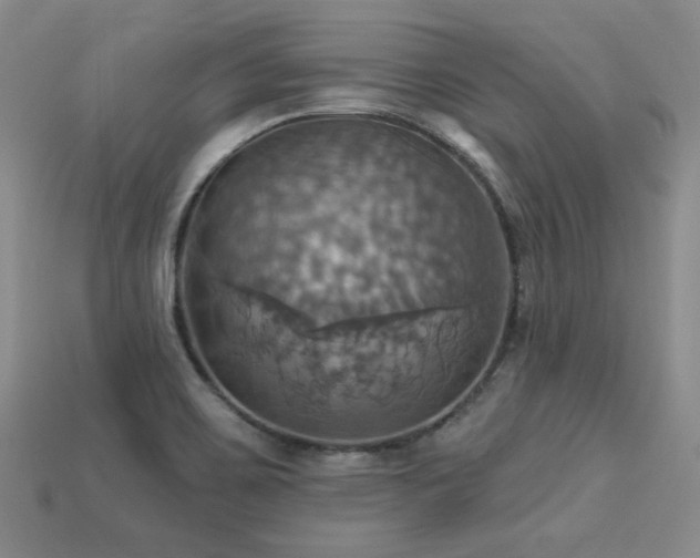 X0000113231467200909101201