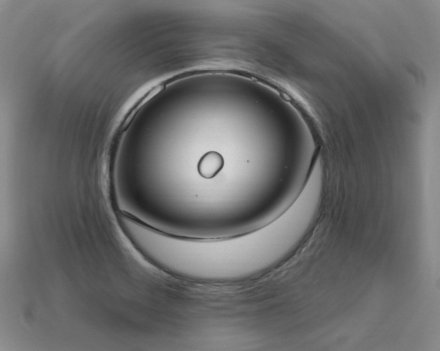 X0000113231468200909101201