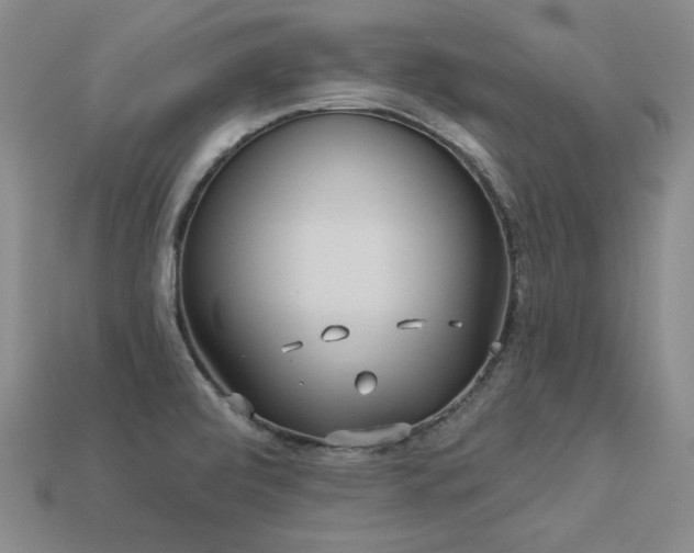 X0000113231472200909101201