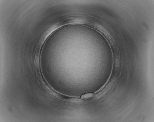 X0000113231473200909101201