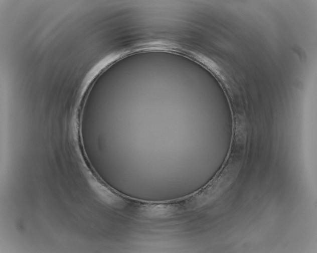 X0000113231474200909101201
