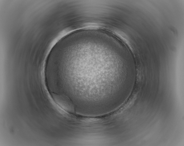 X0000113231475200909101201