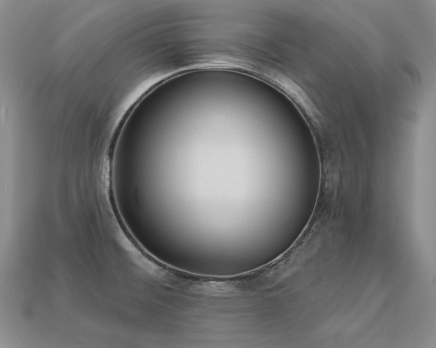 X0000113231476200909101201