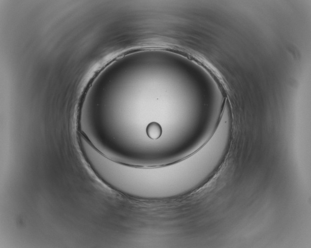 X0000113231477200909101201