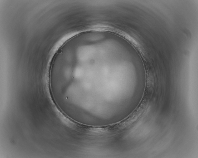 X0000113231478200909101201
