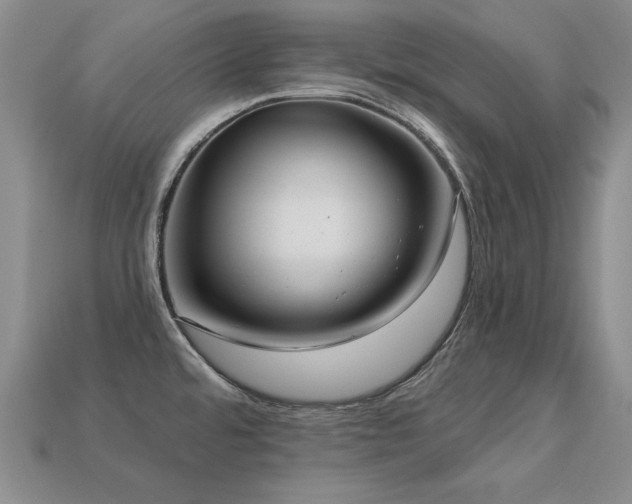 X0000113231480200909101201