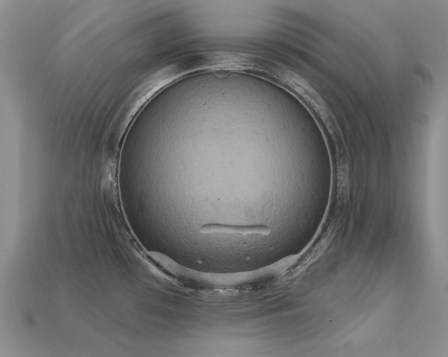 X0000113231481200909101201