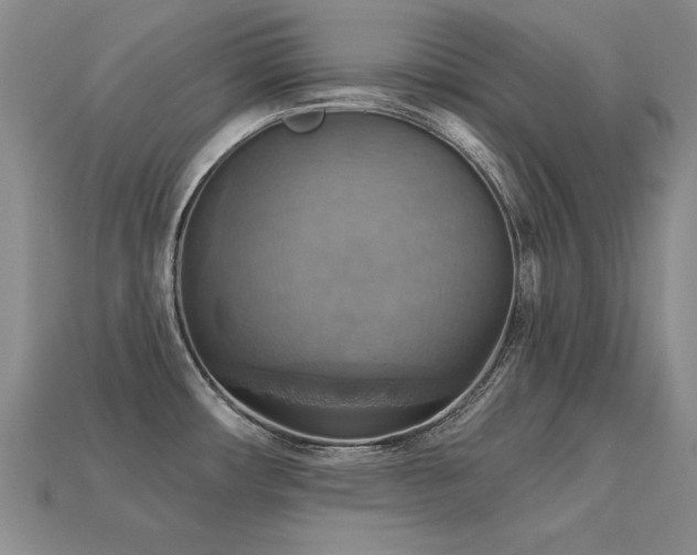 X0000113231482200909101201