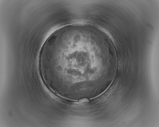 X0000113231483200909101201