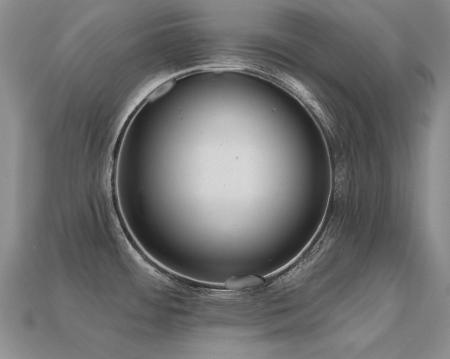X0000113231484200909101201