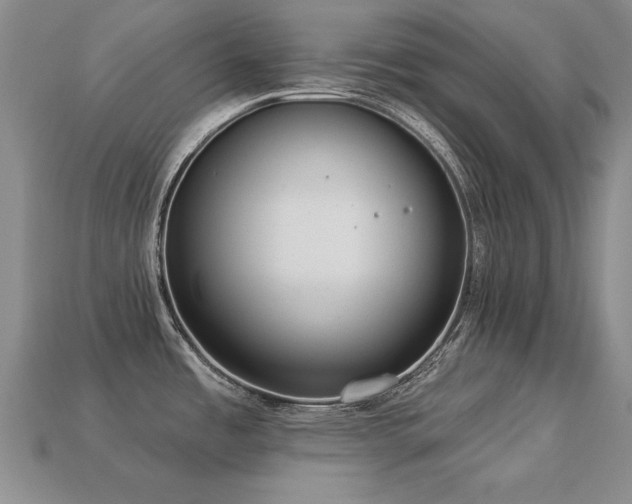 X0000113231485200909101200