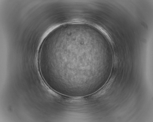 X0000113231486200909101200