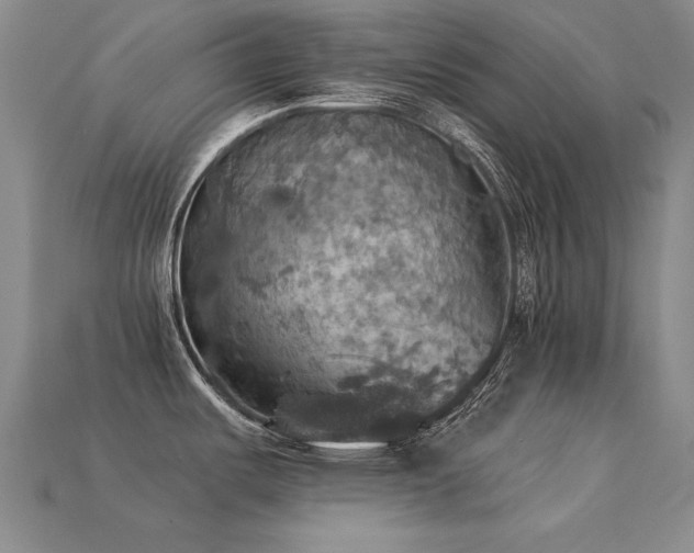 X0000113231487200909101200
