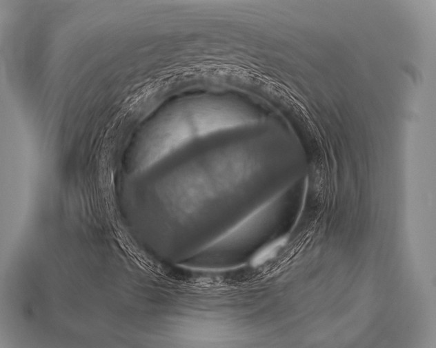 X0000113231489200909101200