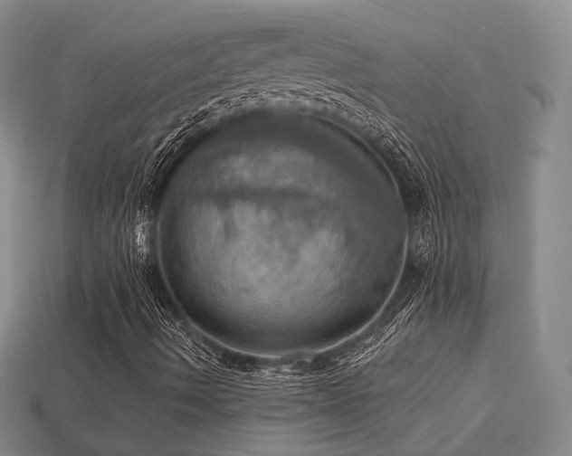 X0000113231490200909101200