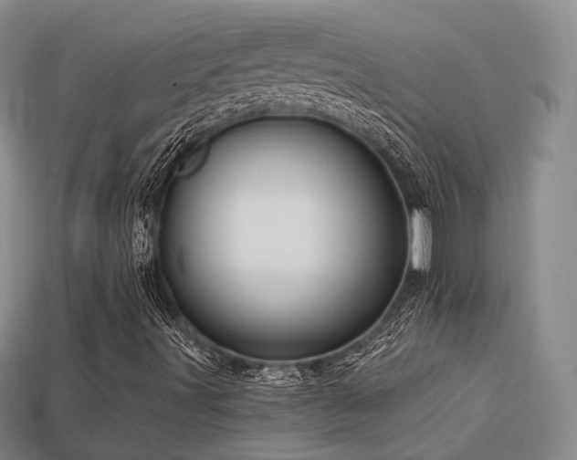 X0000113231491200909101200